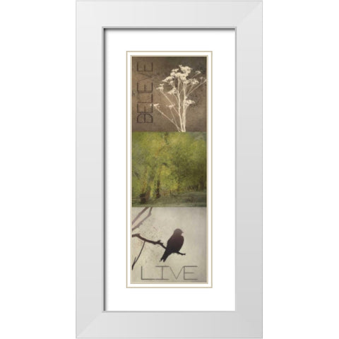 SIlhouette Beauty  A White Modern Wood Framed Art Print with Double Matting by Greene, Taylor
