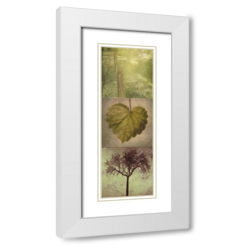 SILHOUETTE BEAUTY  B White Modern Wood Framed Art Print with Double Matting by Greene, Taylor