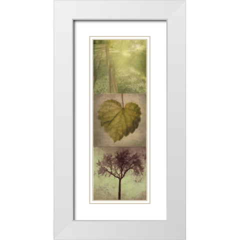 SILHOUETTE BEAUTY  B White Modern Wood Framed Art Print with Double Matting by Greene, Taylor