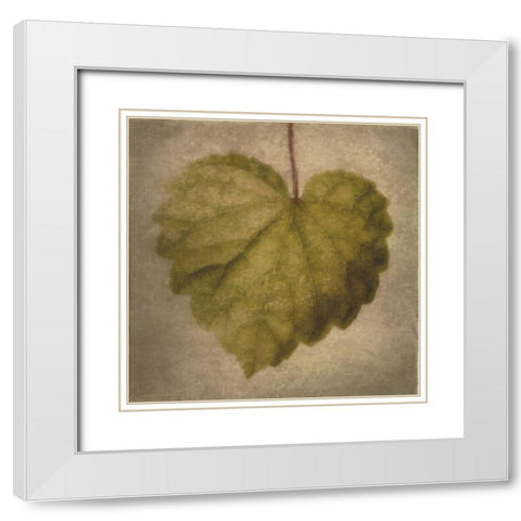 Leaf Silhouette White Modern Wood Framed Art Print with Double Matting by Greene, Taylor