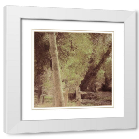 Tree Silhouette White Modern Wood Framed Art Print with Double Matting by Greene, Taylor