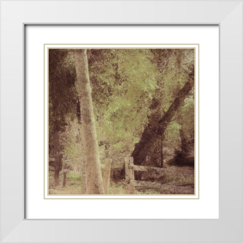Tree Silhouette White Modern Wood Framed Art Print with Double Matting by Greene, Taylor