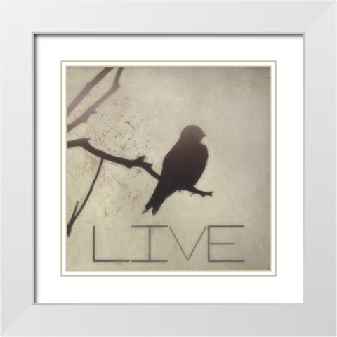 Live Silhouette White Modern Wood Framed Art Print with Double Matting by Greene, Taylor