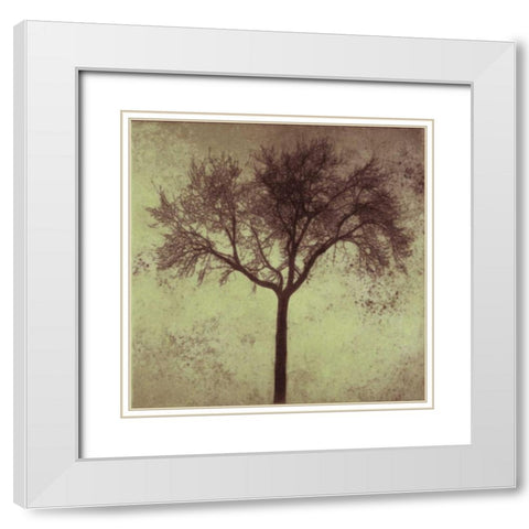 A Tree Silhouette White Modern Wood Framed Art Print with Double Matting by Greene, Taylor