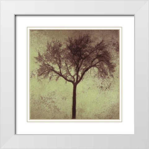 A Tree Silhouette White Modern Wood Framed Art Print with Double Matting by Greene, Taylor