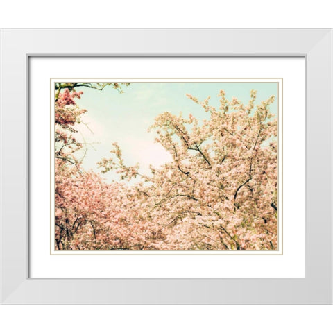 Cream Apple Blossoms White Modern Wood Framed Art Print with Double Matting by Telik, Tracey