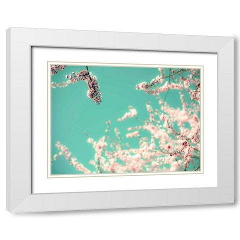 Apple Sky White Modern Wood Framed Art Print with Double Matting by Telik, Tracey