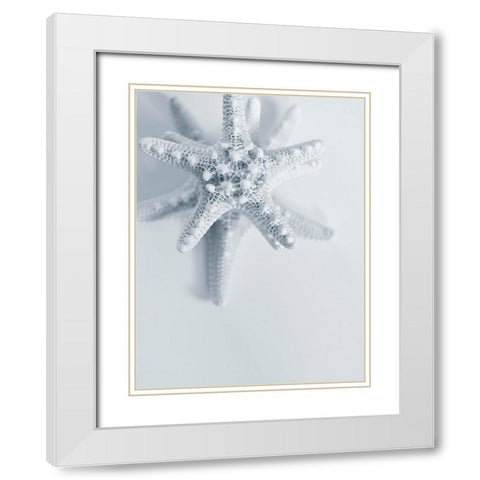 Starfish White Modern Wood Framed Art Print with Double Matting by Telik, Tracey