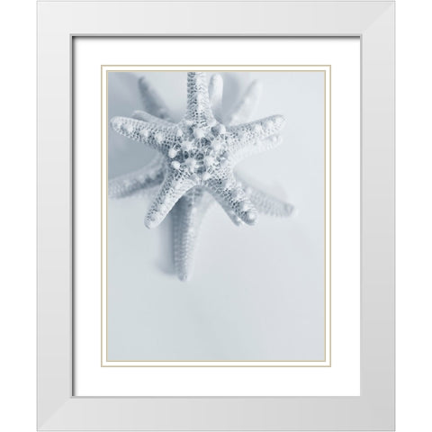 Starfish White Modern Wood Framed Art Print with Double Matting by Telik, Tracey