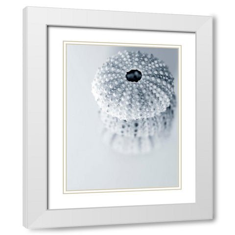 Urchins White Modern Wood Framed Art Print with Double Matting by Telik, Tracey