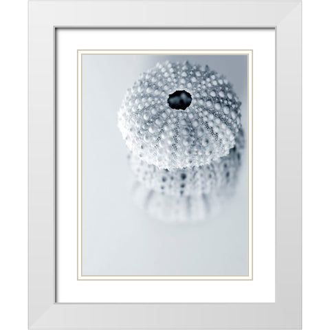 Urchins White Modern Wood Framed Art Print with Double Matting by Telik, Tracey