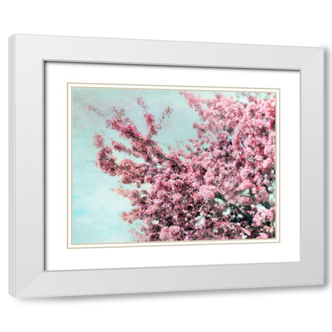 Blossoming Spring White Modern Wood Framed Art Print with Double Matting by Telik, Tracey