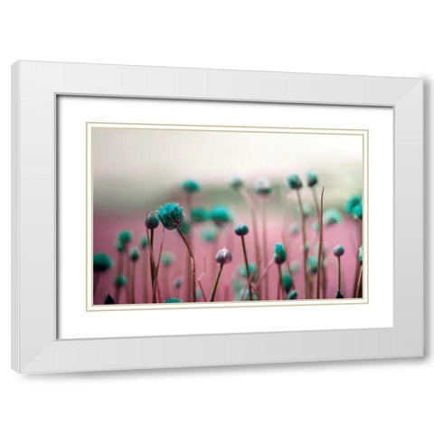 Journey Thru The Field White Modern Wood Framed Art Print with Double Matting by Telik, Tracey