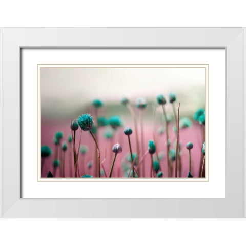 Journey Thru The Field White Modern Wood Framed Art Print with Double Matting by Telik, Tracey