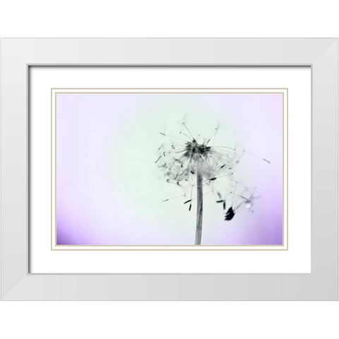 Wishes On A Wind White Modern Wood Framed Art Print with Double Matting by Telik, Tracey
