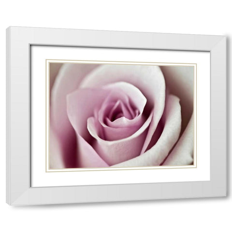 Tender Rose White Modern Wood Framed Art Print with Double Matting by Telik, Tracey