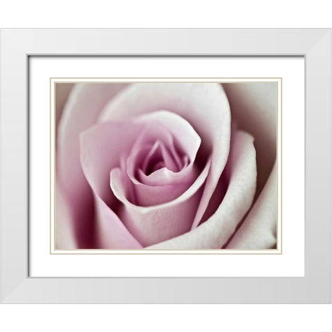 Tender Rose White Modern Wood Framed Art Print with Double Matting by Telik, Tracey