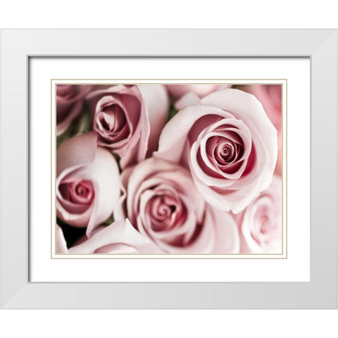 Blush Tone Bouquet White Modern Wood Framed Art Print with Double Matting by Telik, Tracey