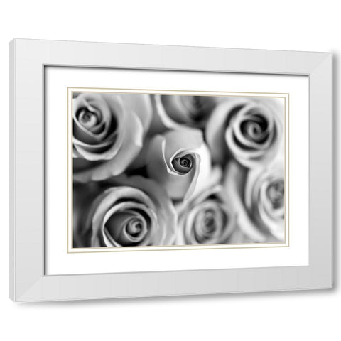 Monotone Bouquet White Modern Wood Framed Art Print with Double Matting by Telik, Tracey