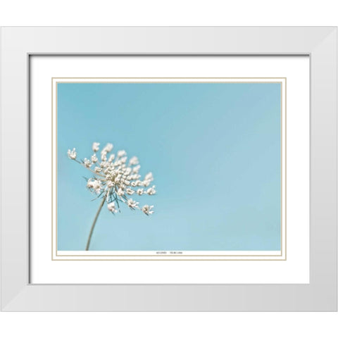 Lace 1 Blue White Modern Wood Framed Art Print with Double Matting by Telik, Tracey