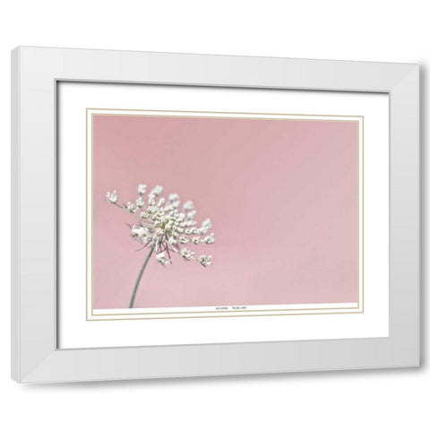 Lace 1 Pink White Modern Wood Framed Art Print with Double Matting by Telik, Tracey