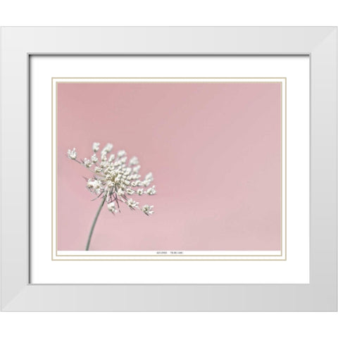 Lace 1 Pink White Modern Wood Framed Art Print with Double Matting by Telik, Tracey