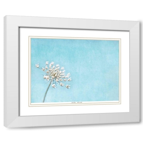 Lace Texture White Modern Wood Framed Art Print with Double Matting by Telik, Tracey