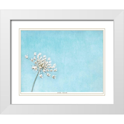 Lace Texture White Modern Wood Framed Art Print with Double Matting by Telik, Tracey