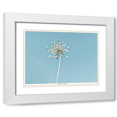 Lacey 2 White Modern Wood Framed Art Print with Double Matting by Telik, Tracey