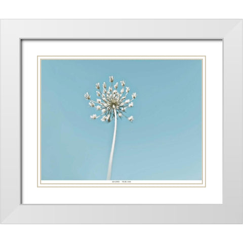 Lacey 2 White Modern Wood Framed Art Print with Double Matting by Telik, Tracey
