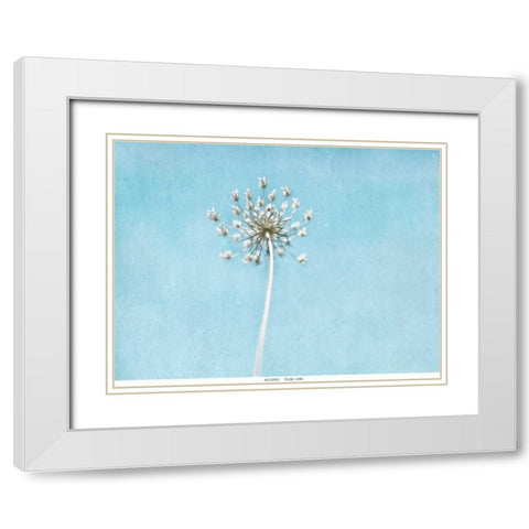 Lacey Texture 2 White Modern Wood Framed Art Print with Double Matting by Telik, Tracey