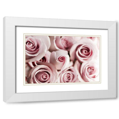 Rosa Dafydal White Modern Wood Framed Art Print with Double Matting by Telik, Tracey
