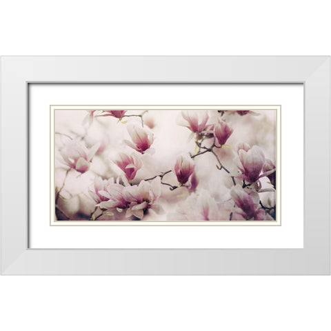 Spring Wonderland White Modern Wood Framed Art Print with Double Matting by Telik, Tracey