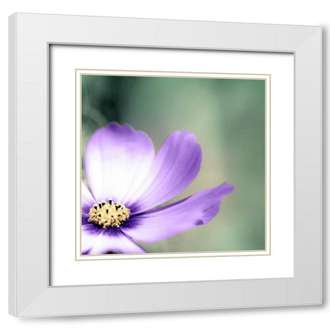 Lonely Lilac 1 White Modern Wood Framed Art Print with Double Matting by Telik, Tracey