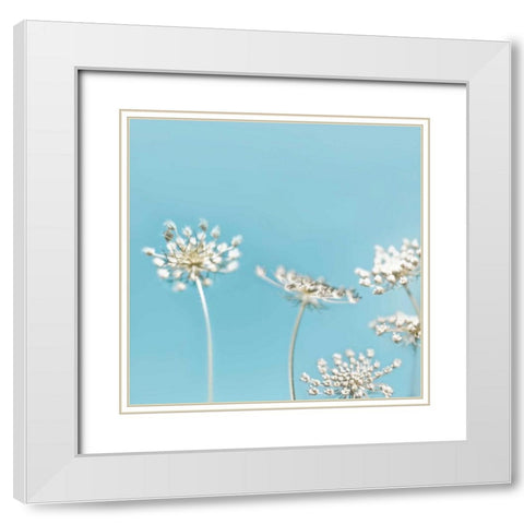 Queens 40 White Modern Wood Framed Art Print with Double Matting by Telik, Tracey