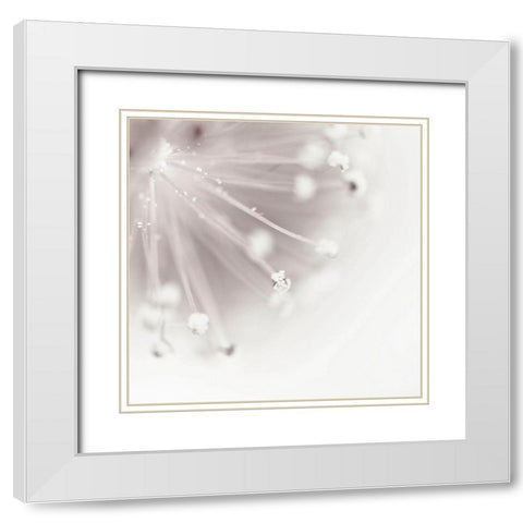 Flagella 2 White Modern Wood Framed Art Print with Double Matting by Urban Epiphany