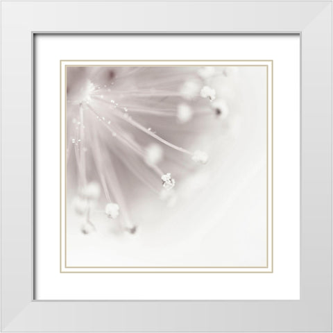 Flagella 2 White Modern Wood Framed Art Print with Double Matting by Urban Epiphany