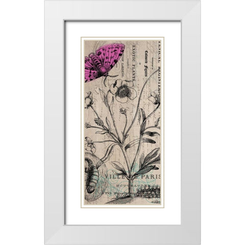 Botanical 9 White Modern Wood Framed Art Print with Double Matting by Jordan, Elizabeth