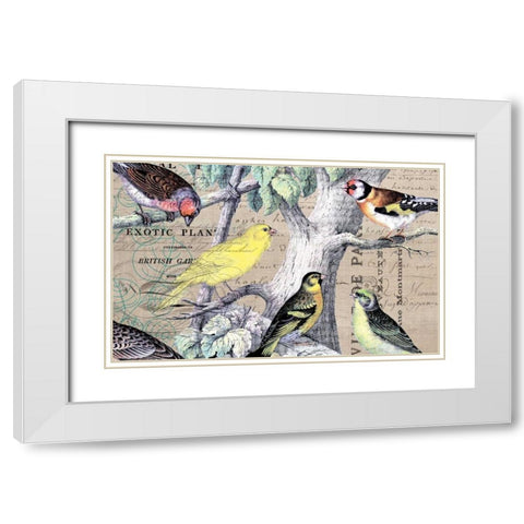 Bird Botanical 4 White Modern Wood Framed Art Print with Double Matting by Jordan, Elizabeth