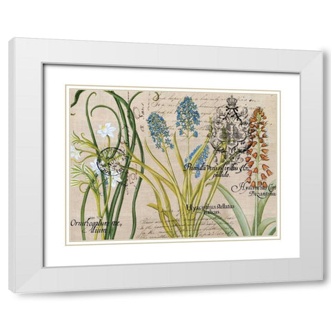 Flower Botanical White Modern Wood Framed Art Print with Double Matting by Jordan, Elizabeth