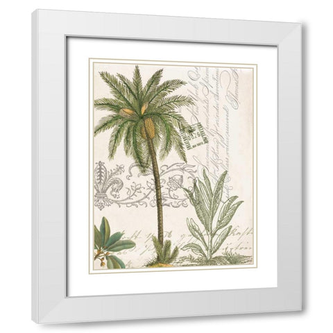 Palm Rectangle 1 White Modern Wood Framed Art Print with Double Matting by Jordan, Elizabeth