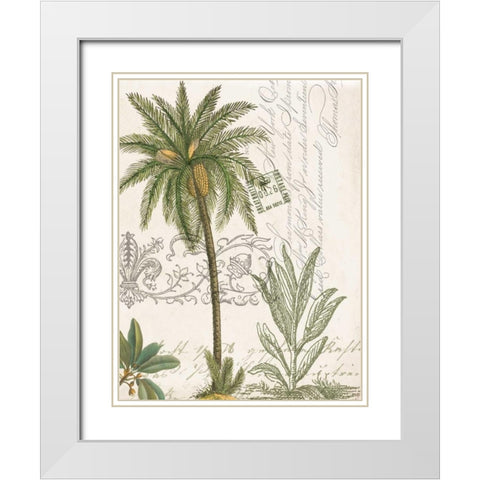 Palm Rectangle 1 White Modern Wood Framed Art Print with Double Matting by Jordan, Elizabeth