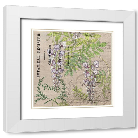 Botanical Register 3 White Modern Wood Framed Art Print with Double Matting by Jordan, Elizabeth