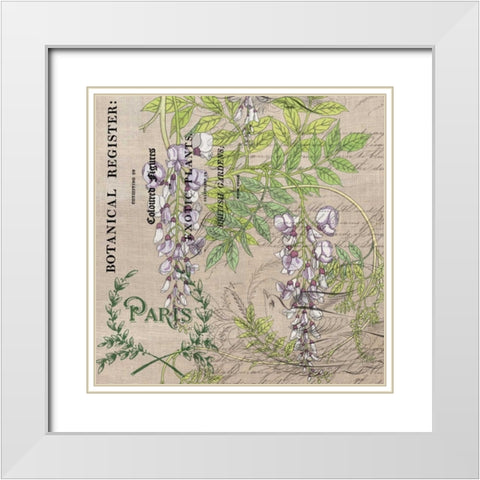 Botanical Register 3 White Modern Wood Framed Art Print with Double Matting by Jordan, Elizabeth