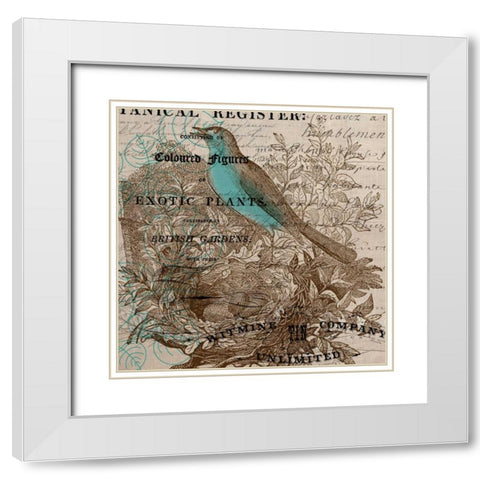 Bird Botanical 5 White Modern Wood Framed Art Print with Double Matting by Jordan, Elizabeth