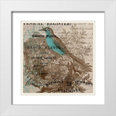 Bird Botanical 5 White Modern Wood Framed Art Print with Double Matting by Jordan, Elizabeth