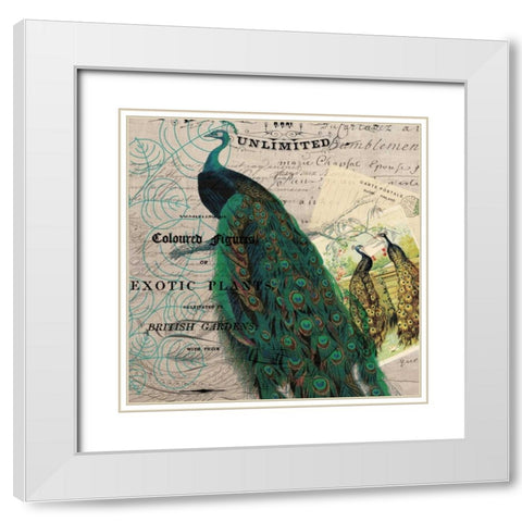 Bird Botanical 6 White Modern Wood Framed Art Print with Double Matting by Jordan, Elizabeth