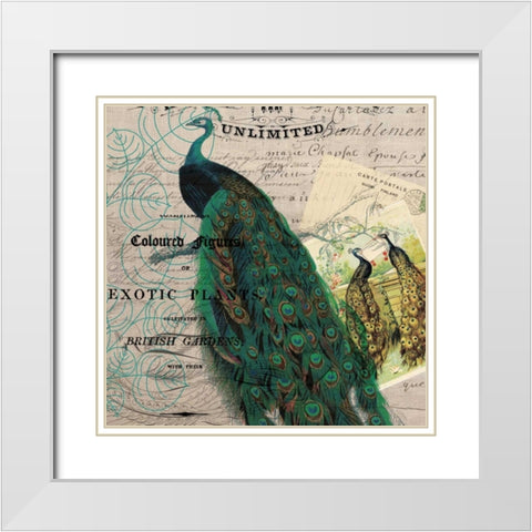 Bird Botanical 6 White Modern Wood Framed Art Print with Double Matting by Jordan, Elizabeth