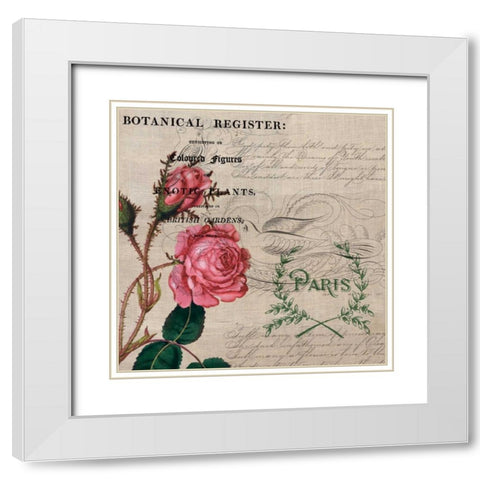 Botanical Register board White Modern Wood Framed Art Print with Double Matting by Jordan, Elizabeth