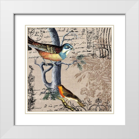 Postcard Birds 1 White Modern Wood Framed Art Print with Double Matting by Jordan, Elizabeth